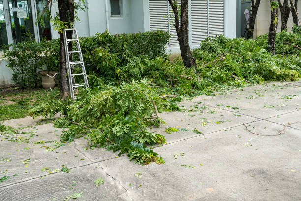 Best Weed Control  in East Brooklyn, CT